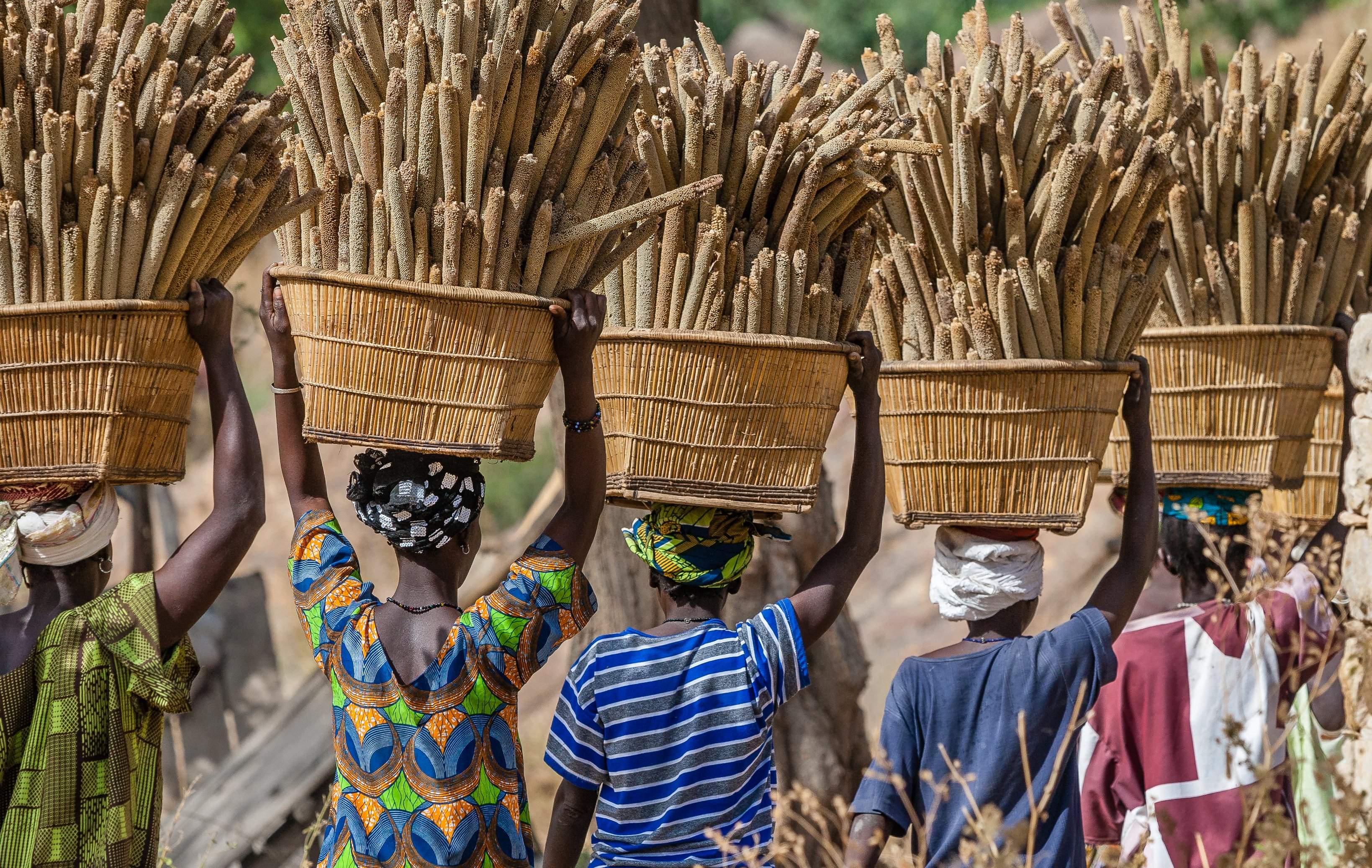África: un continente de oportunidades emergentes